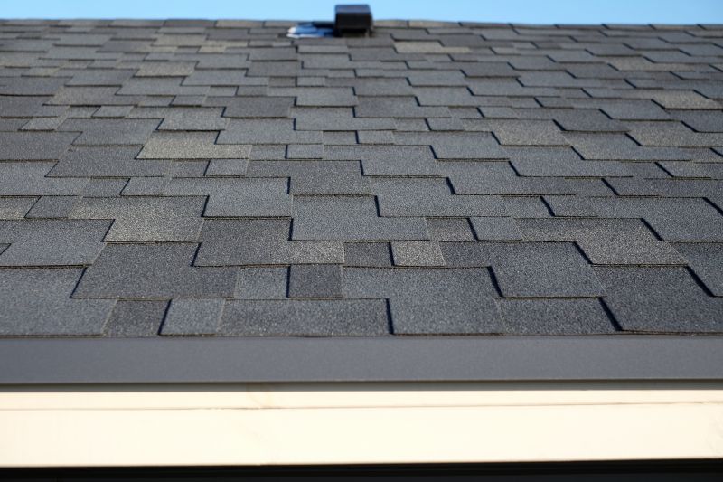Renovated Roofing Systems