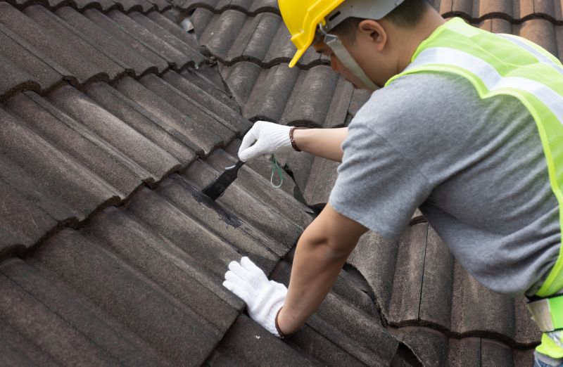 Local Roofing Experts